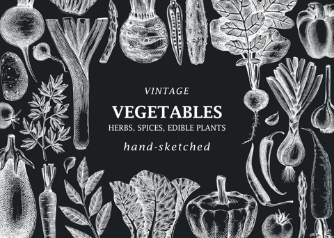 Hand-sketched Vegetable frame on chalkboard. Hand-drawn tomatoes, squashes, peppers, potatoes, asparagus and other vegetables drawings. Healthy food background for menu, recipe, restaurant, packaging